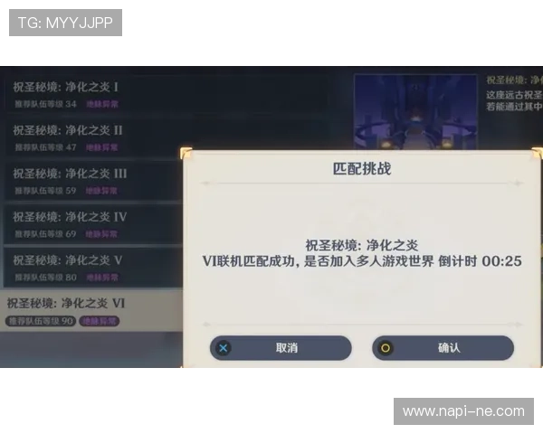 尊龙网站登录入口常见错误及解决方案，确保顺利登录体验