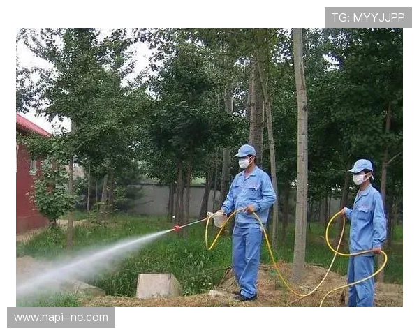 z6尊龙官网便捷的充值提现流程，轻松实现资金快速到账