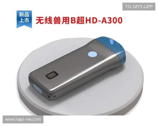 尊龙凯时线上手机版多平台兼容性介绍,支持手机、平板等多设备畅玩无障碍