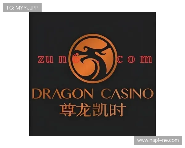 尊龙凯时官方入口全天候客服支持，解决玩家在登录过程中遇到的各种问题